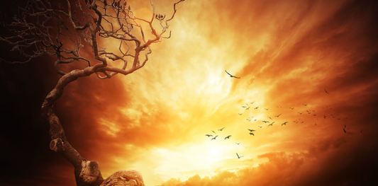 How My Cowgirl Roots Birthed a Dystopian Western Experience