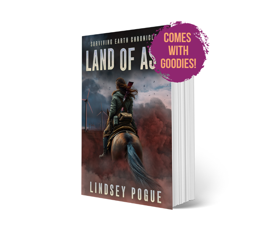 Land of Ash (Paperback)